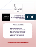 PDF Responsabilite Des Dirigeants