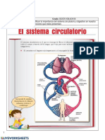 PDF Liver