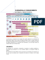 U5B Tercera Edad