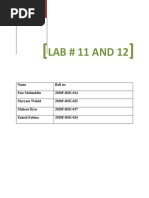 Itse Lab # 11 and 12