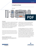 Application Note Fundamentals of Gas Chromatography Danalyzer en 43550.en - Es