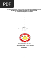Analisa Putusan No: 31/pid - Sus/2021/PN SWL | PDF