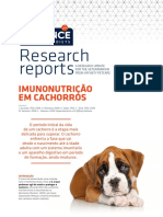 AFP - RR Inmunonutrición Cachorros