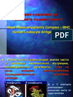 Главен комплекс на тъканната съвместимост. Major Histocompatibility Complex - MHC. Human Leukocyte Antigens - HLA