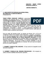 AMPARO INDIRECTO VS. ORDEN DE . CESAR EFREN GONZALEZ CARRILLO (1)
