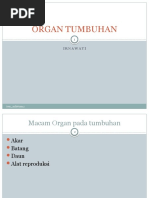 ORGAN TUMBUHAN