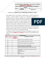 SST05 Informe Diagnostico de Condiciones de Salud