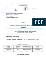 Memoire Master Rahim Adnan 2020 1