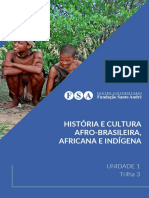 [EAD01_20] U1T3 - História e Cultura Afro-brasileira, Africana e Indígena