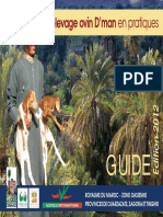 Guide Maroc