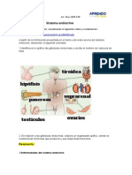 Act 3 (Exp 2) Sistema Endocrino Tarea