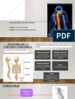 Anatomía de La Columna Vertebral y Fisiología Del