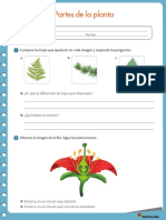 3° Partes de La Planta