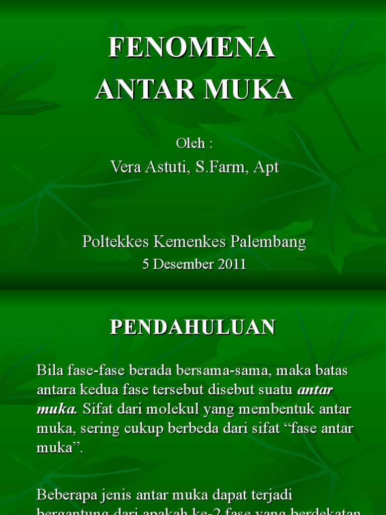 Fenomena Antarmuka Ibuk | PDF