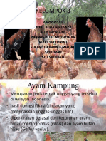 Dokumen - Tech - Budidaya Ayam Kampung 58be7a2d3e212
