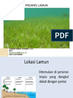 Padang Lamun