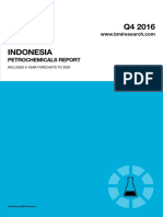 Indonesia Petrochemicals Repor