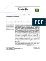 Biosaintifika: Growth and Protein Content Establishment of Liquid and Solid Medium