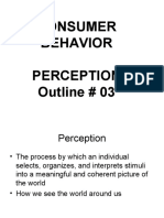 Outline 3 CB Perception