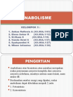 Anabolisme PPT