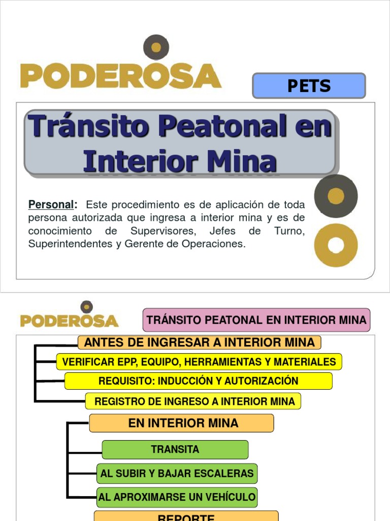 Procedimiento De Tránsito Peatonal En Mina Pdf Naturaleza