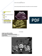 3 - Var III - Imagistica in Nefrologie