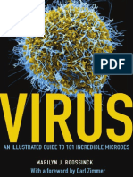 Export Pages Virus An Illustrated Guide To 101 Incredible Microbes