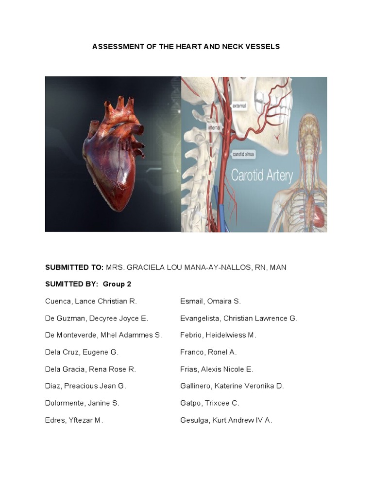 Assessment of The Heart and Neck Vessels | PDF | Common Carotid Artery ...