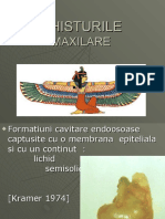 Chisturile Maxilare