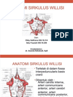 PDF Anatomi Sirkulus Willisi Okky Nafiriana 03010214 Sely Fauziah 03010248 Compress