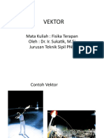 Vektor 1