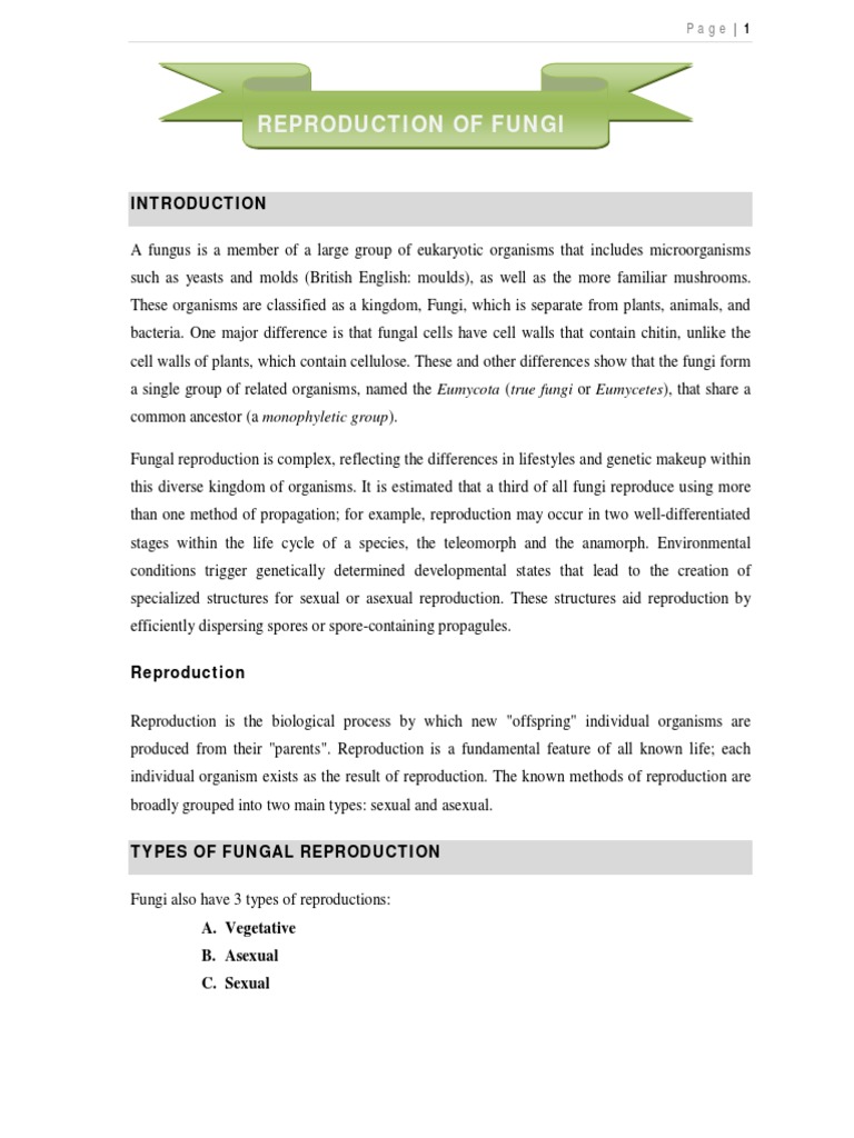 Reproduction of Fungi | PDF | Fungus | Reproduction
