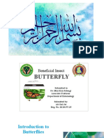 Introduction of Butterfly