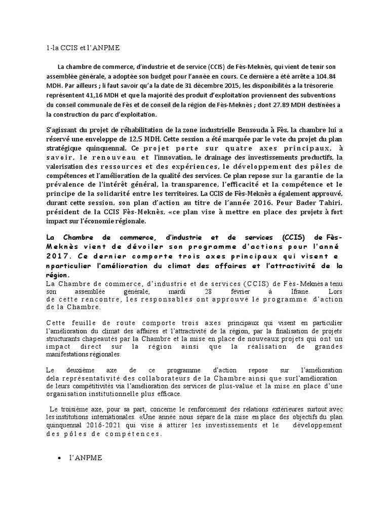 Mekki Ccsi | PDF | Petite ou moyenne entreprise | Économie