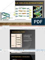 DNA Replication