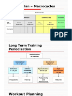 Annual Plan - Macrocycles: Preparatory Competitive Transition