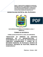 TERMINO DE REFERENCIA DEL PROYECTO_CAMAL MUNICIPAL DE PILPICHACA_MODIFICADO 