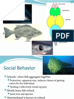 Social Behavior