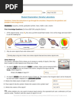 Density Doodle Notes Guide | PDF | Density | Matter