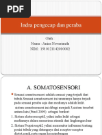 Indra Pengecap Dan Peraba, Ppt