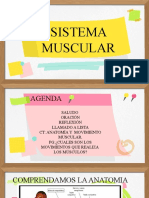 Sistema Muscular.