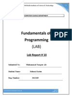 Fundamentals of Programming: Lab Report # 10