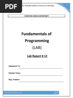 Fundamentals of Programming: Lab Report # 12