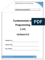 Fundamentals of Programming: Lab Report # 12