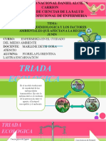 Triada Epidemiologica y Los Factores Ambientales Que Afectan A La Region Junín