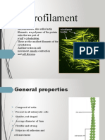 Microfilament 