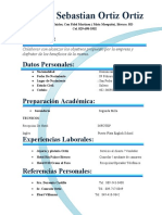 Daniel Sebastian Ortiz Ortiz Curriculum