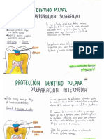 Prteccion Dentino Pulpar Tarea