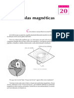 Particula Magnetica Telecurso 2000