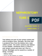 Nephrostomy Tube Care: Roll No Anupama Thapa - 6 Asmita Awal - 7